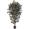 thumbnail image 1 of Nearly Natural 6'Capensia Ficus Tree x 3 with 1008 Lvs, 1 of 3