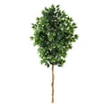 thumbnail image 1 of Nearly Natural 6' Ficus Artificial Tree (No Pot), Green, 1 of 3