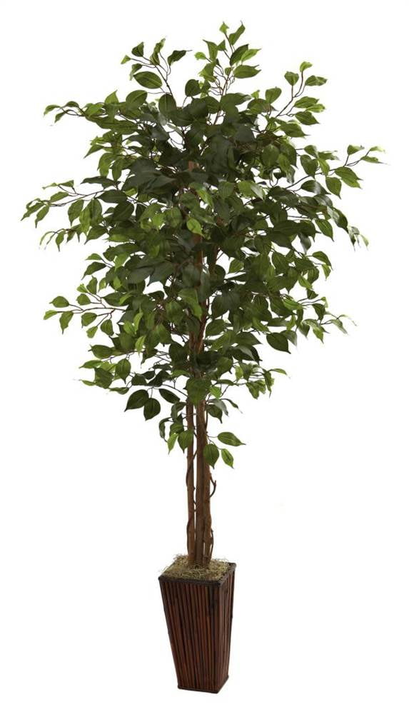 Lush 6' Ficus Floor Plant in Elegant Bamboo Planter