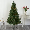 thumbnail image 1 of Nearly Natural 6' Green Fir Artificial Christmas Tree Prelit 250 Clear LED Lights, 1 of 9
