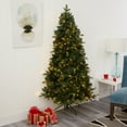 thumbnail image 1 of Nearly Natural 6' Green Spruce Artificial Christmas Tree Prelit 180 Clear LED Lights, 1 of 11