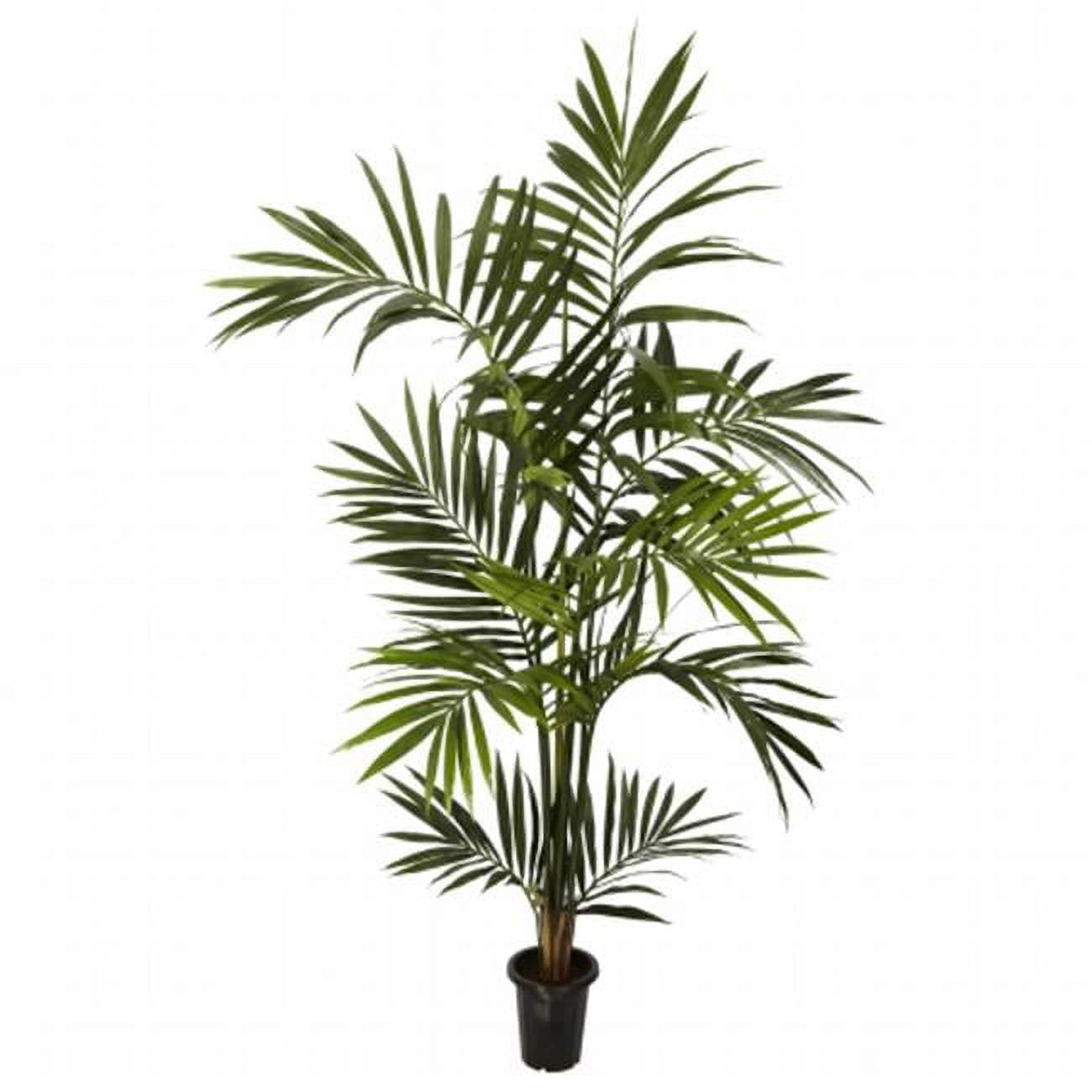 6-ft Green Kentia Palm Silk Tree in Black Plastic Pot