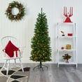thumbnail image 1 of Nearly Natural 6' Slim Green Mountain Pine Artificial Christmas Tree with 250 Clear LED Lights, 1 of 9