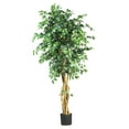 thumbnail image 1 of 6' Palace Style Ficus Silk Tree, 1 of 8