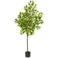 thumbnail image 1 of Nearly Natural 61" Lemon Artificial Tree, 1 of 5