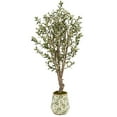 thumbnail image 1 of Nearly Natural 62" Olive Artificial Tree in Floral Print Planter in Green, 1 of 3
