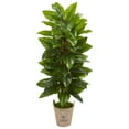 thumbnail image 1 of Nearly Natural 63" Large Leaf Philodendron Artificial Plant in Farmhouse Planter (Real Touch), 1 of 2