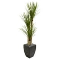 thumbnail image 1 of Nearly Natural 63" Yucca Artificial Tree in Black Planter, Green, 1 of 4