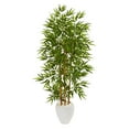 thumbnail image 1 of Nearly Natural 63in. Bamboo Artificial Tree in White Planter, 1 of 2