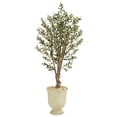 thumbnail image 1 of Nearly Natural 64in. Olive Artificial Tree in Decorative Urn, 1 of 3