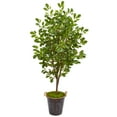 thumbnail image 1 of Nearly Natural 68” Oak Artificial Tree in Decorative Planter, 1 of 1