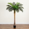 thumbnail image 1 of Nearly Natural Potted Coconut Palm Artificial Tree - 6', 1 of 8
