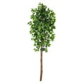 thumbnail image 1 of Nearly Natural 6ft. Artificial Double Trunk Ficus Tree (No Pot), Green, 1 of 4