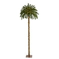 thumbnail image 1 of Nearly Natural 6ft. Christmas Palm Artificial Tree with 200 Warm White LED Lights, 1 of 8