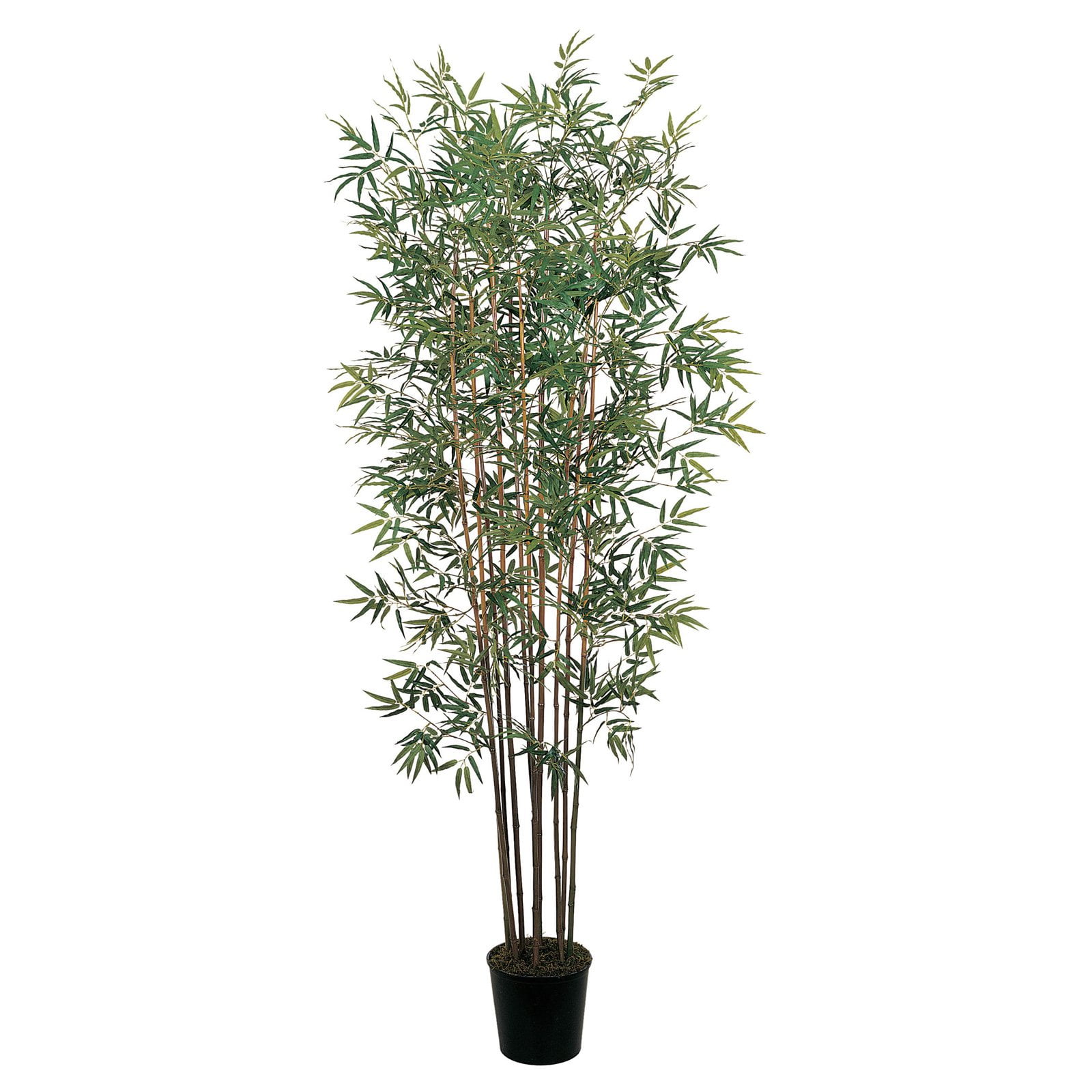 6' Green Silk Bamboo Topiary in Black Pot