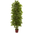 thumbnail image 1 of Nearly Natural 6ft. Mini Ficus Artificial Tree UV Resistant, 1 of 3