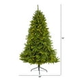 thumbnail image 1 of Nearly Natural 6ft. Sierra Spruce Natural Look Artificial Christmas Tree with 300 Clear LED Lights and 1357 Bendable Branches, 1 of 7