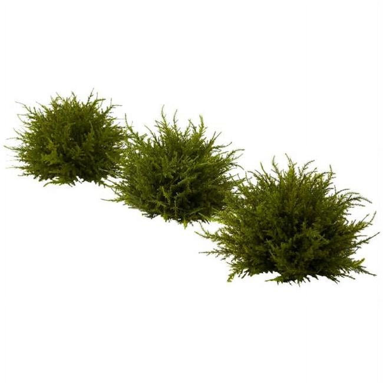 Set of 3 Green Silk Cedar Topiary Balls