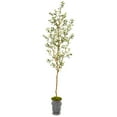 thumbnail image 1 of Nearly Natural 7.5' Olive Artificial Tree in Decorative Planter, Green, 1 of 3