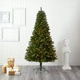 thumbnail image 1 of Nearly Natural 7.5ft Virginia Fir Christmas Tree w/ 450 Clear Lights, 1 of 8