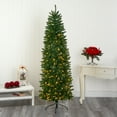 thumbnail image 1 of Nearly Natural 7' Slim Green Mountain Pine Artificial Christmas Tree with 300 Clear LED Lights, 1 of 10