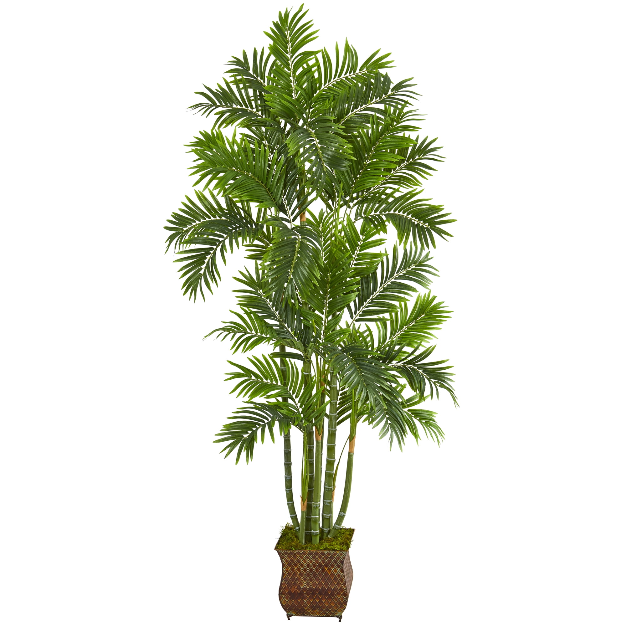 Summer Elegance 70" Boxwood Palm Floor Plant in Metal Planter