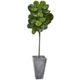 thumbnail image 1 of Nearly Natural 75" Fiddle Leaf Artificial Tree in Cement Planter, Green, 1 of 1