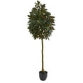 thumbnail image 1 of Nearly Natural 75in. Capensia Ficus Artificial Tree, Green, 1 of 3