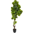 thumbnail image 1 of Nearly Natural 78" Fiddle Leaf Artificial Tree (Real Touch), 1 of 4