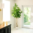 thumbnail image 1 of Nearly Natural Artificial Ficus Audrey Potted Tree - 7' - Unlit, 1 of 7