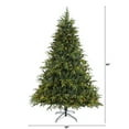 thumbnail image 1 of Nearly Natural 7ft. Colorado Mountain Fir Look Artificial Christmas Tree with 500 Clear LED Lights and 2552 Tips, 1 of 6