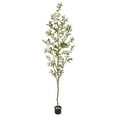 thumbnail image 1 of Nearly Natural 82" Olive Artificial Tree with Single Trunk Split in Green/Black, 1 of 5