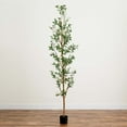 thumbnail image 1 of Nearly Natural 8ft. Artificial Olive Tree with Natural Trunk, 1 of 6