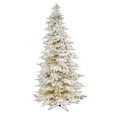 thumbnail image 1 of Nearly Natural 9' Flocked Fir Artificial Christmas Tree with Warm Cluster (Multifunction) LED Lights, 1 of 8