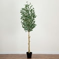 thumbnail image 1 of Nearly Natural Artificial Potted Eucalyptus Tree - 9', 1 of 9