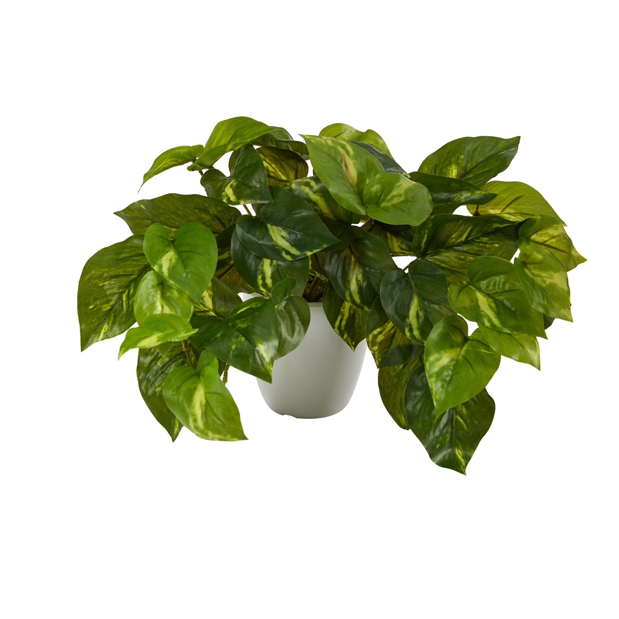 Green Pothos with Rectangle Decorative Planter, 18"