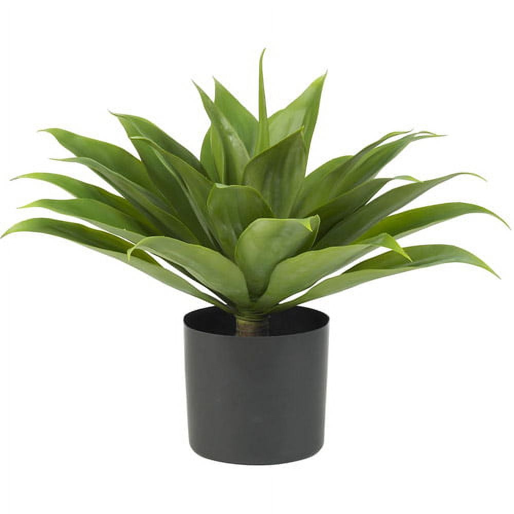 25" Green Silk Agave Plant in Black Plastic Pot