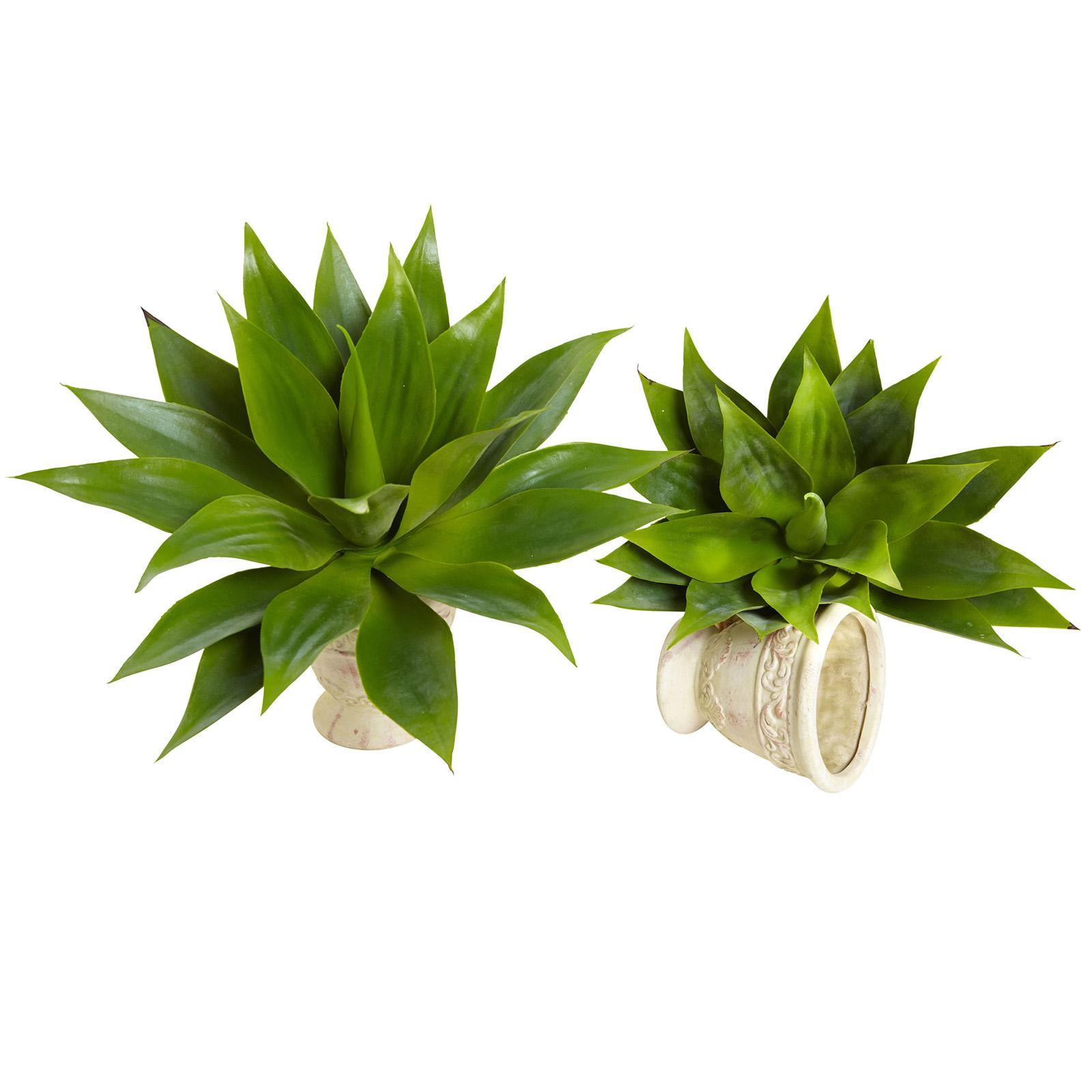 Tropical Twist 22.5" Silk Agave Succulent Set in Plastic Pots