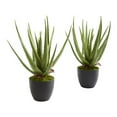 thumbnail image 1 of Nearly Natural Aloe Artificial Plant (Set of 2), 1 of 4