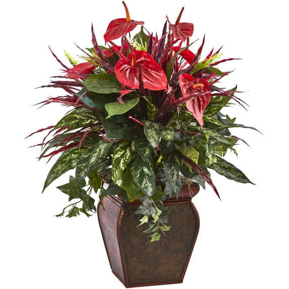 Anthurium Mixed Plant with Planter