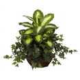 thumbnail image 1 of Nearly Natural Artificial Dieffenbachia & Ivy with Decorative Planter, 1 of 4