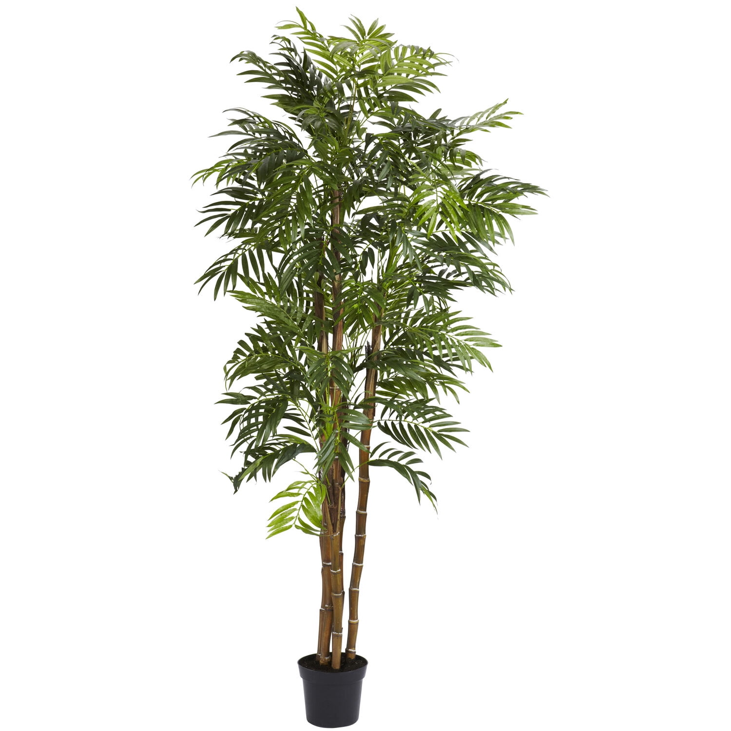 Tall Green Silk Palm Tree in Black Pot
