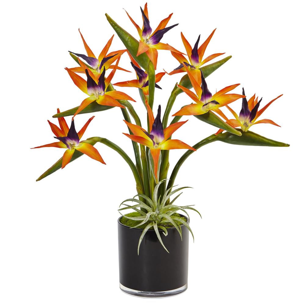 30" Black Glossy Cylinder Potted Silk Bird of Paradise Arrangement
