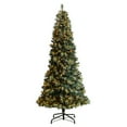 thumbnail image 1 of Nearly Natural Clear Prelit LED Flocked Frosted Tip Pine Artificial Christmas Tree, 9', 1 of 11