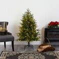 thumbnail image 1 of Nearly Natural Clear Prelit LED Green Holiday Fir Christmas Tree, 4', 1 of 8