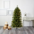 thumbnail image 1 of Nearly Natural Clear Prelit LED Green Holiday Fir Christmas Tree, 6', 1 of 8