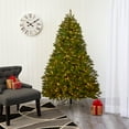 thumbnail image 1 of Nearly Natural Clear Prelit LED Green Holiday Spruce Christmas Tree, 6', 1 of 11