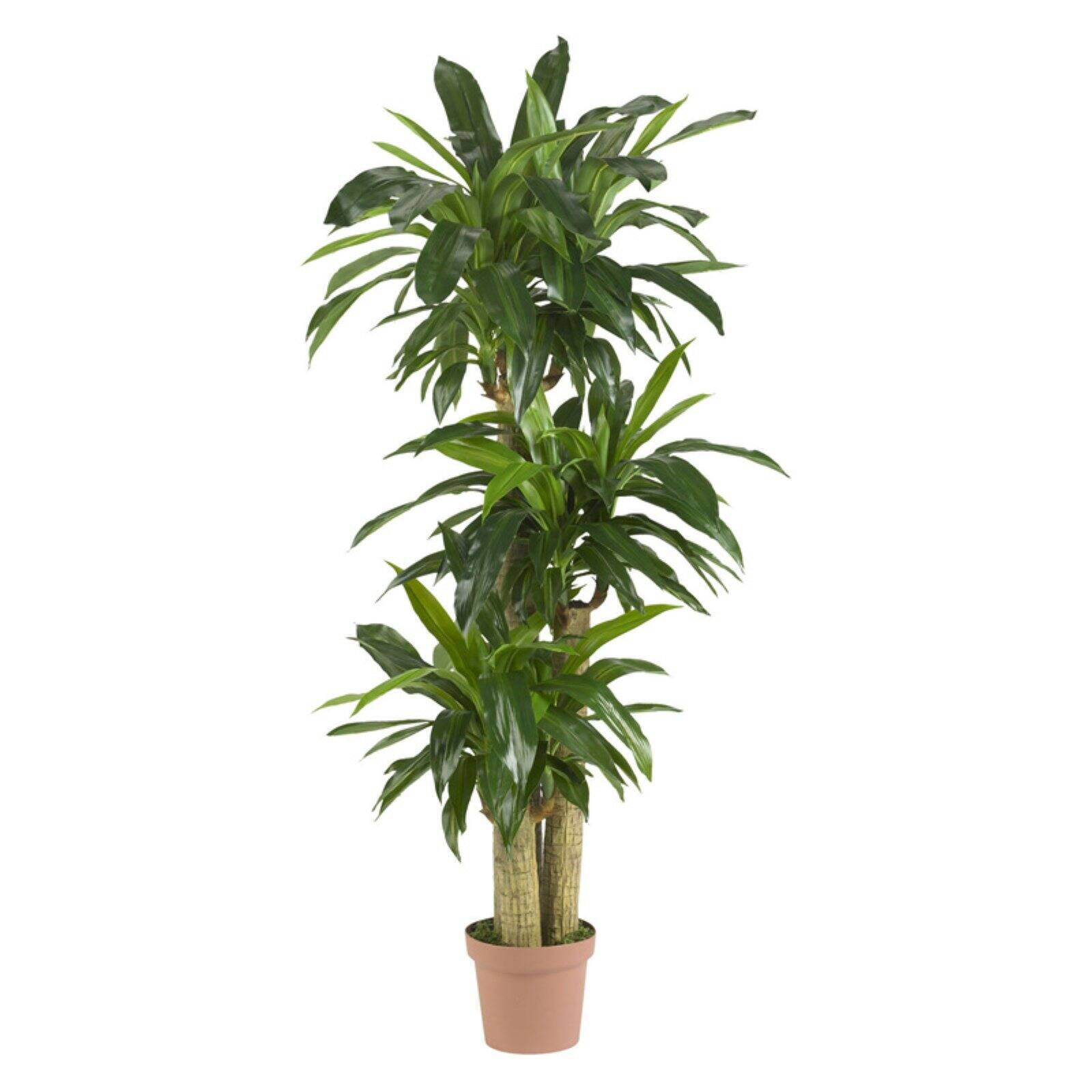 Tall Green Silk Corn Stalk Dracaena Plant with Lights