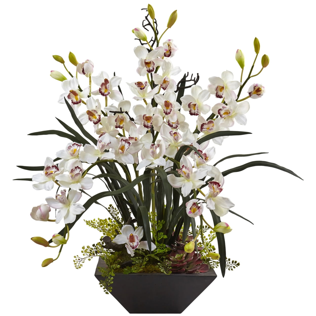 White Cymbidium Orchid Arrangement in Black Vase