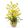 thumbnail image 1 of Nearly Natural Dancing Lady Artificial Orchid Artificial Flower Arrangement, Yellow, 1 of 3
